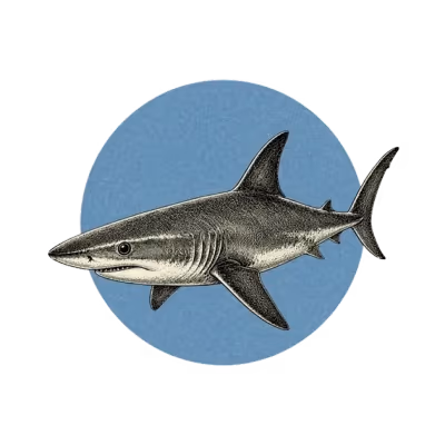 An engraved shark over a steel-blue disc.