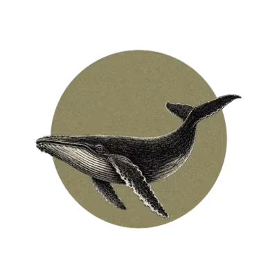An engraved humpback whale over a sage disc.
